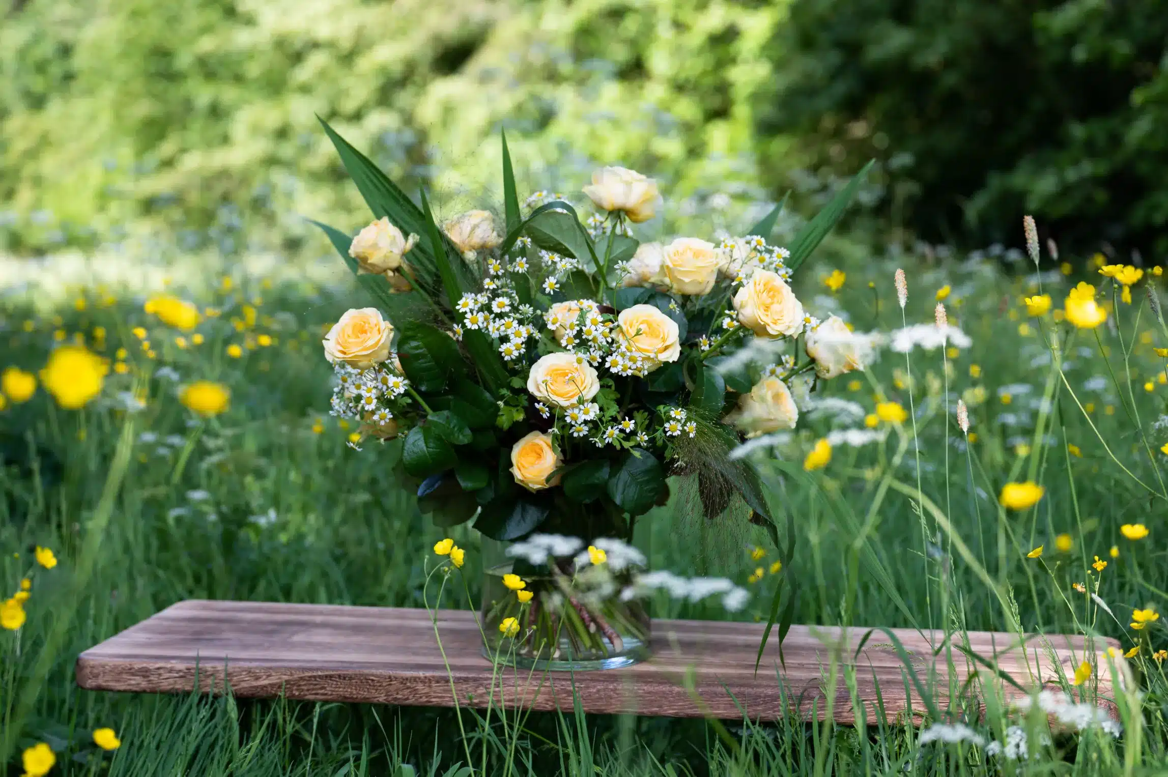 Berg Roses_2023_JPEG groot_BDF_9549