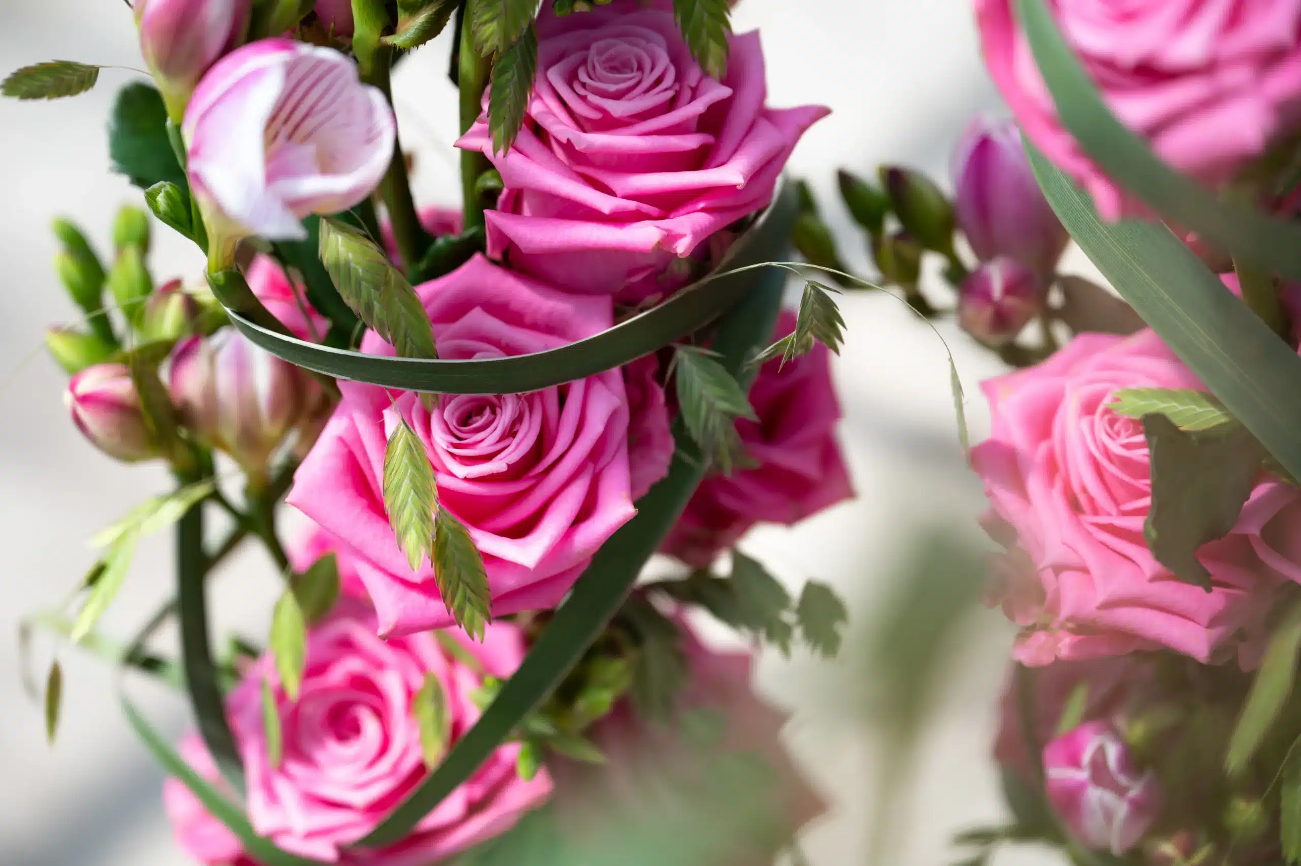 Berg Roses_2023_JPEG groot_BDF_9932