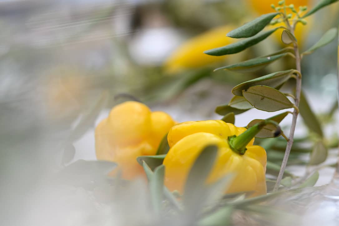 Pim en Verenice, 18 mei 2024